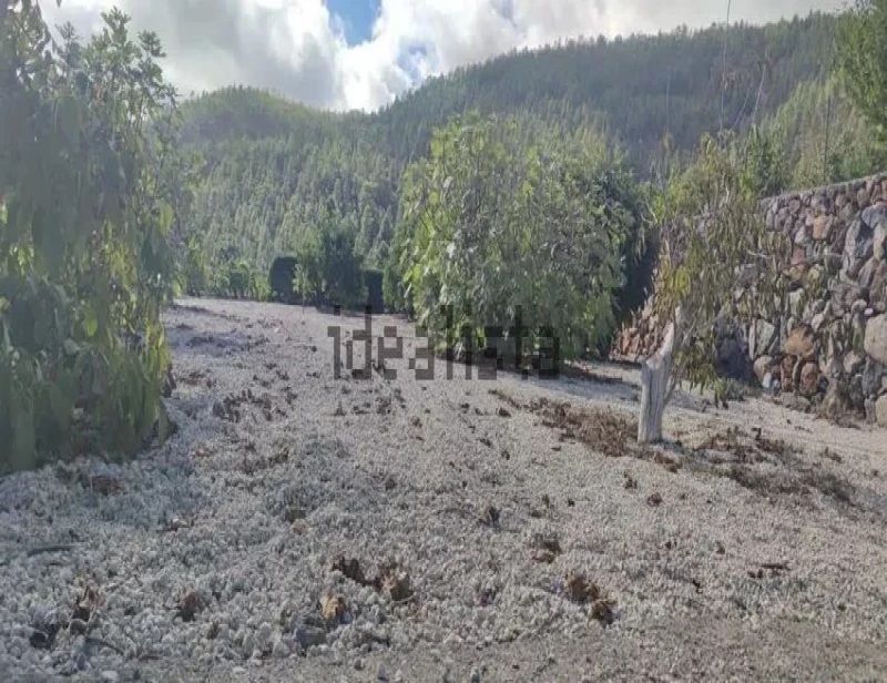 Casa terrera en venta en paredes